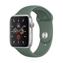 Apple WATCH Series 5 44mm Cellular Aluminiumgehäuse silber Sportarmband grün